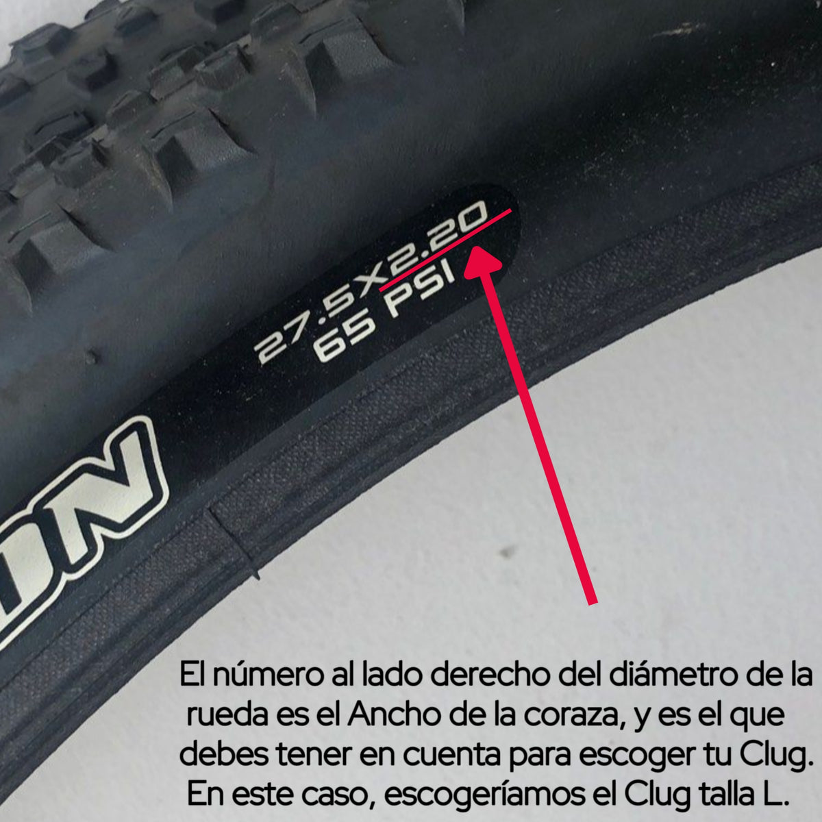 CLUG